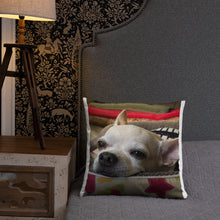 Load image into Gallery viewer, Basic Pillow