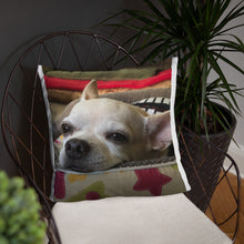 Load image into Gallery viewer, Basic Pillow