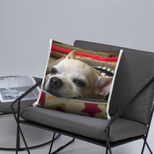 Load image into Gallery viewer, Basic Pillow