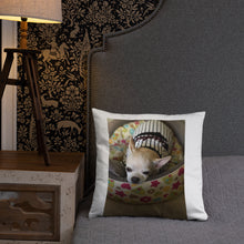 Load image into Gallery viewer, Basic Pillow