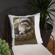 Load image into Gallery viewer, Basic Pillow