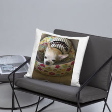 Load image into Gallery viewer, Basic Pillow