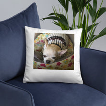 Load image into Gallery viewer, Basic Pillow