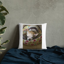 Load image into Gallery viewer, Basic Pillow