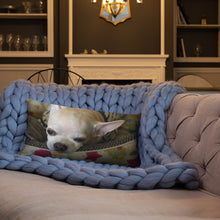 Load image into Gallery viewer, Basic Pillow