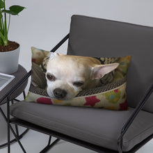 Load image into Gallery viewer, Basic Pillow