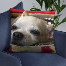Load image into Gallery viewer, Basic Pillow