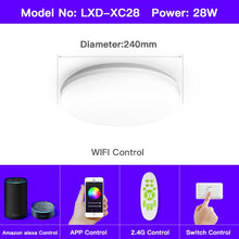 將圖片載入圖庫檢視器 OFFDARKS smart ceiling lamp, compatible with Alexa and Google home, RGB dimming ,kitchen,living room,bedroom led ceiling light