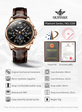 Load image into Gallery viewer, Top Brand OUPINKE Luxury Mechanical Watch Men Automatic Brown Leather Casual Waterproof Sport Moon Phase Wristwatch Reloj Hombre