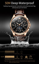 Load image into Gallery viewer, Top Brand OUPINKE Luxury Mechanical Watch Men Automatic Brown Leather Casual Waterproof Sport Moon Phase Wristwatch Reloj Hombre
