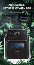 Load image into Gallery viewer, In Stock 10L Medical Portable Oxygen Concentrator Machine High-quality Concentrador Oxigen Physical Therapy Equipments