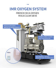 Load image into Gallery viewer, In Stock 10L Medical Portable Oxygen Concentrator Machine High-quality Concentrador Oxigen Physical Therapy Equipments