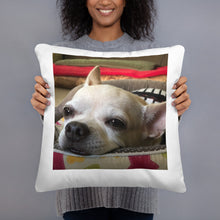 โหลดรูปภาพลงในเครื่องมือใช้ดูของ Gallery Basic Pillow
