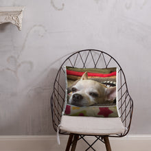 Load image into Gallery viewer, Basic Pillow
