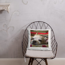 Load image into Gallery viewer, Basic Pillow

