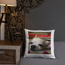 Load image into Gallery viewer, Basic Pillow
