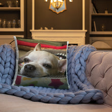 Load image into Gallery viewer, Basic Pillow

