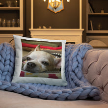 Load image into Gallery viewer, Basic Pillow
