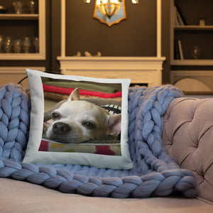Basic Pillow