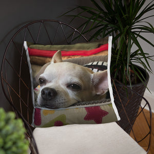 Basic Pillow