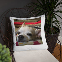 Load image into Gallery viewer, Basic Pillow
