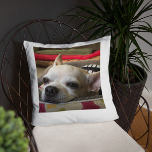 Basic Pillow