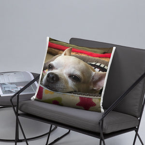 Basic Pillow