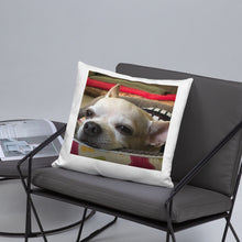 Load image into Gallery viewer, Basic Pillow
