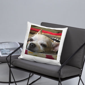 Basic Pillow