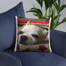 Load image into Gallery viewer, Basic Pillow
