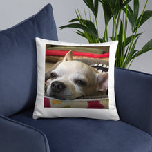 Load image into Gallery viewer, Basic Pillow
