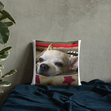 Load image into Gallery viewer, Basic Pillow

