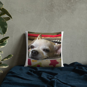 Basic Pillow