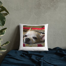 Load image into Gallery viewer, Basic Pillow
