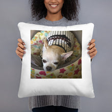 โหลดรูปภาพลงในเครื่องมือใช้ดูของ Gallery Basic Pillow
