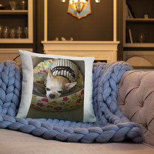 Basic Pillow