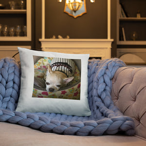 Basic Pillow