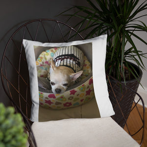 Basic Pillow