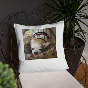 Basic Pillow