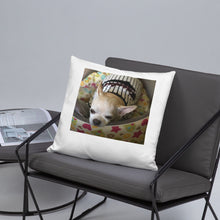 Load image into Gallery viewer, Basic Pillow
