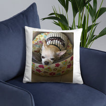 Load image into Gallery viewer, Basic Pillow
