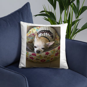 Basic Pillow