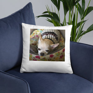 Basic Pillow