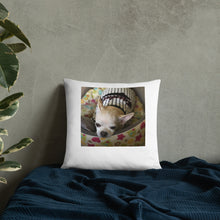 Load image into Gallery viewer, Basic Pillow

