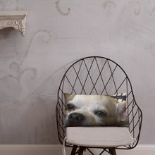 Load image into Gallery viewer, Basic Pillow
