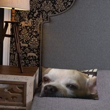 Load image into Gallery viewer, Basic Pillow

