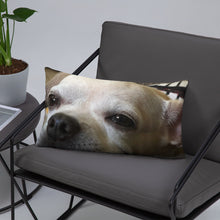 Load image into Gallery viewer, Basic Pillow
