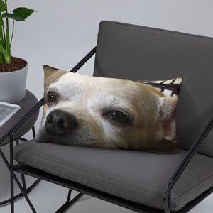 Basic Pillow