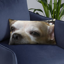 Load image into Gallery viewer, Basic Pillow
