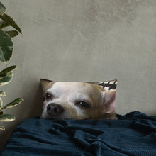 Load image into Gallery viewer, Basic Pillow
